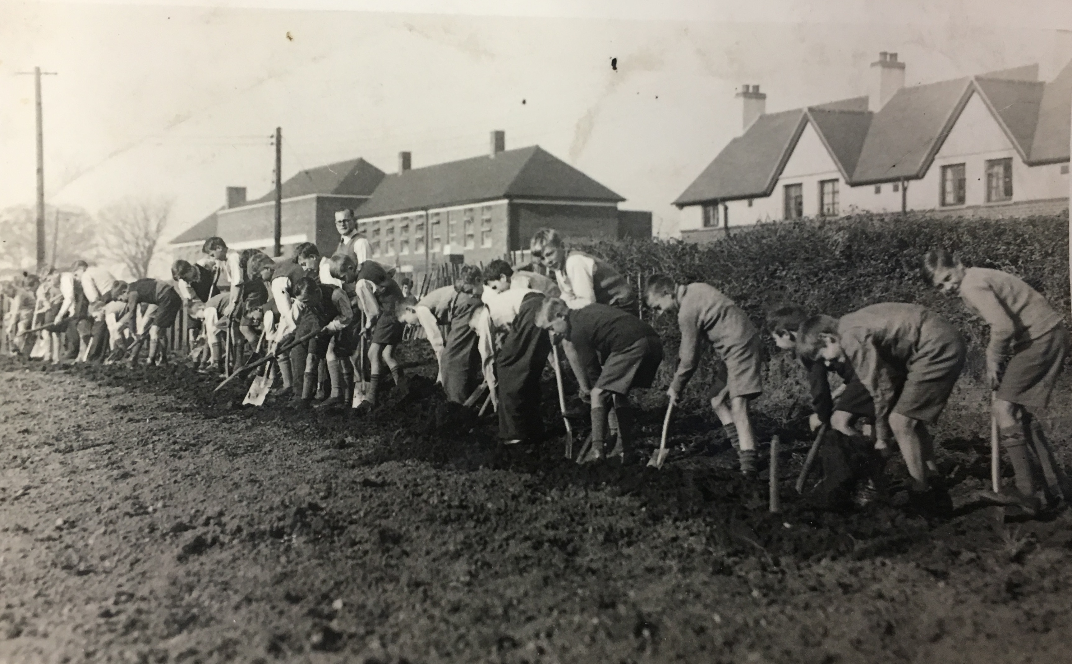 The front of the school, the Quadrangle and Colchester Road allotment gardens were given over to the ‘dig for victory’ campaign. Boys helped carry out gardening tasks and growing vegetables for use in the school canteen. 